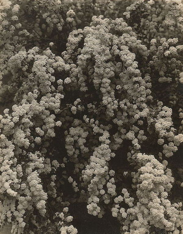 Brook Lodge - Historical Photo From Upjohn (newer photo)